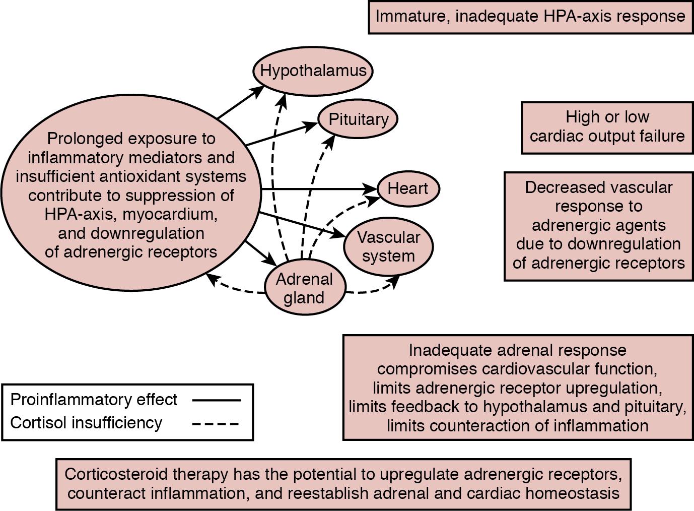 Fig. 23.3, Interaction among the hypothalamus-pituitary-adrenal axis, cardiovascular function, and inflammation.