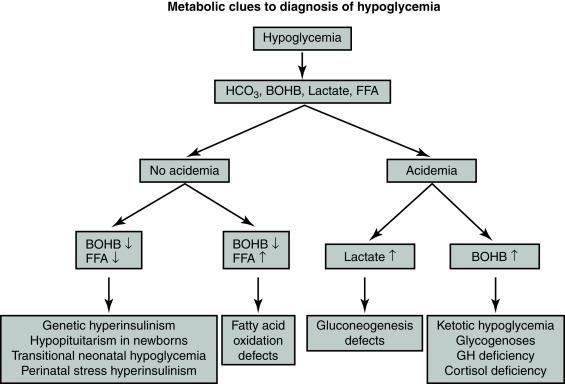 Fig. 11.2, Algorithm showing how the major categories of hypoglycemia can be determined with information from the critical sample. BOHB, Beta-hydroxybutyrate; FFA, free fatty acids; GH, growth hormone.