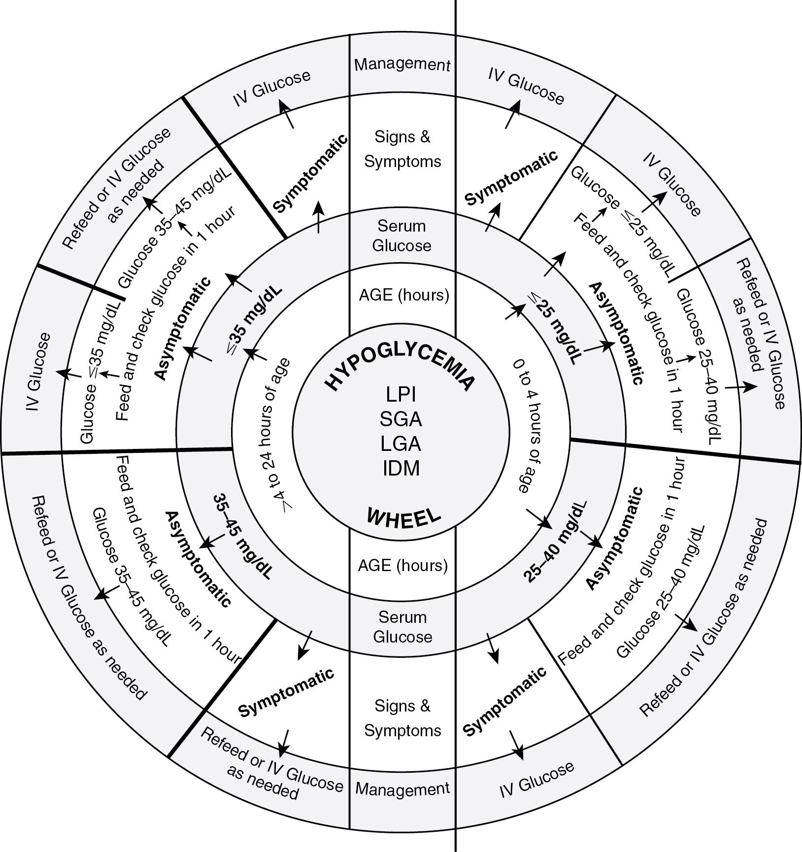 Fig. 4.1, Sugar Wheel nomogram for postanatal glucose homeostasis.