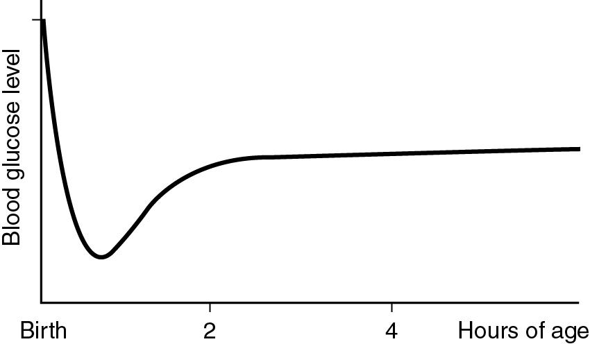 Fig. 4.5, Blood glucose concentration transition from fetus to neonate over the first hours of life.