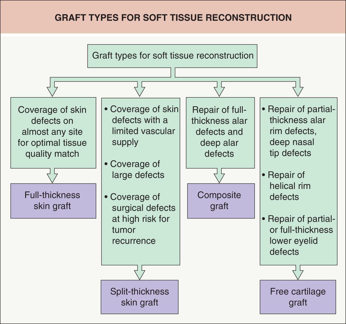 Fig. 148.1, Graft types for soft tissue reconstruction.