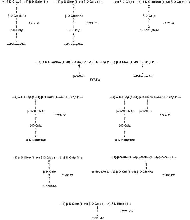 Figure 12-3, Repeating unit structures of group B streptococcal capsular polysaccharides type Ia, 57 type Ib, 57 58 type II, 53 55 type III, 49 50 type IV, 54 type V, 51 type VI, 568 type VII, 52 and type VIII. 56