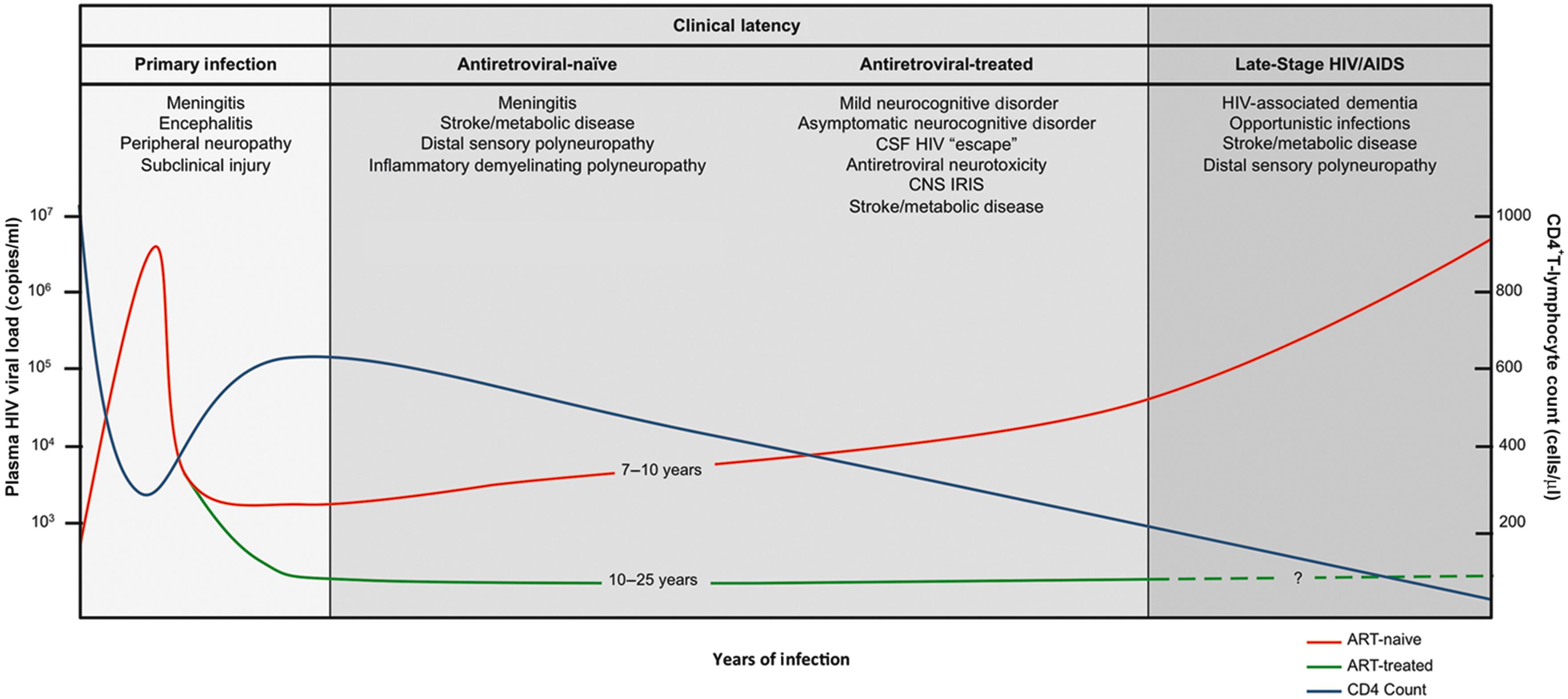 Figure 43-1, Typical time course of HIV-1 infection and characteristic neurologic abnormalities. Primary HIV infection refers to the first year following viral transmission, which includes the acute retroviral syndrome, widespread distribution of the virus, the seeding of lymphoid organs, and the CD4 + T-cell nadir. After a recovery in the CD4 + T-cell count, infected individuals enter a long period of clinical latency in which they experience a slow decline in the CD4 + T-cell population. If treatment is not initiated, the CD4 + T-cell count falls to critically low levels and the patient develops acquired immunodeficiency syndrome (AIDS) after 7 to 10 years. This period is characterized by viral proliferation, acquisition of opportunistic infections, and end-organ damage in a variety of body systems, ultimately leading to death from one or a combination of these causes. If treatment is initiated, clinical latency persists for an undetermined period of time, but patients continue to be at risk of a variety of neurologic complications, including several unique to individuals on therapy.