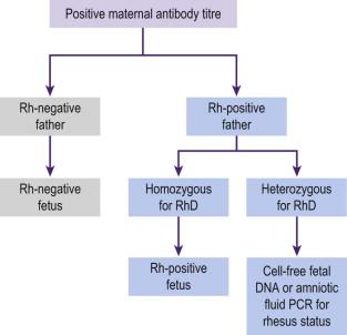 FIGURE 19-4, Partner genotyping to determine the fetal rhesus status.