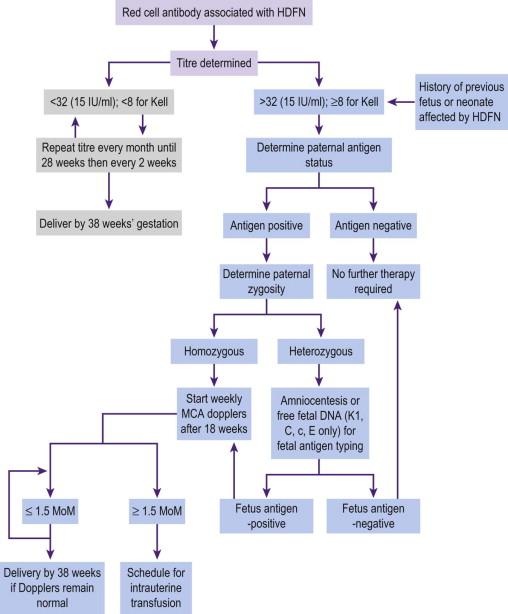 FIGURE 19-5, Algorithm for the clinical management of the non-rhesus-D alloimmunized pregnancy. 10