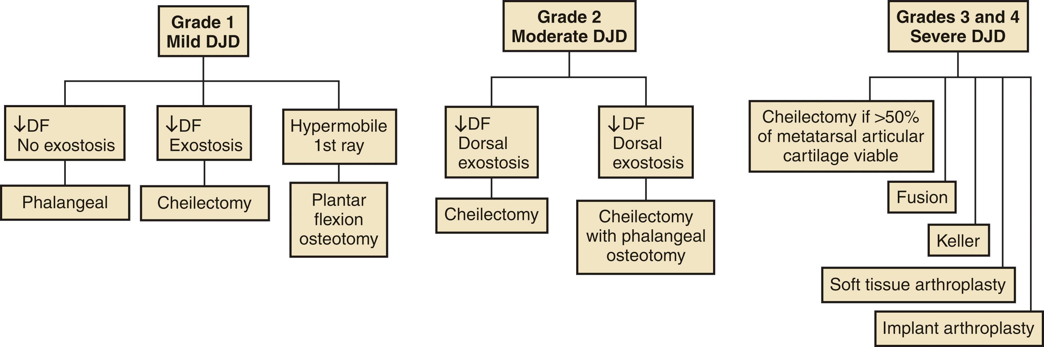 Fig. 27-13, Treatment considerations for hallux rigidus. ↓ , Decreased; DF , dorsiflexion; DJD , degenerative joint disease; FHL , flexor hallucis longus; Keller , Keller arthroplasty.