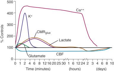 Fig. 139.2, Ionic and metabolic consequences of concussion. CBF, Cerebral blood flow; CMR, cerebral metabolic rate.