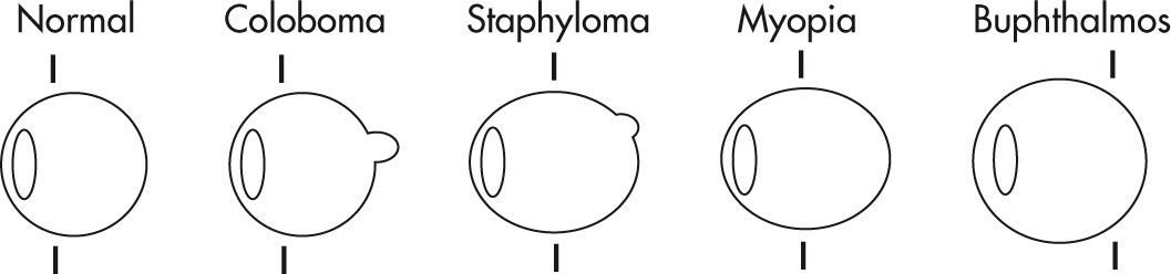 FIG. 7.16