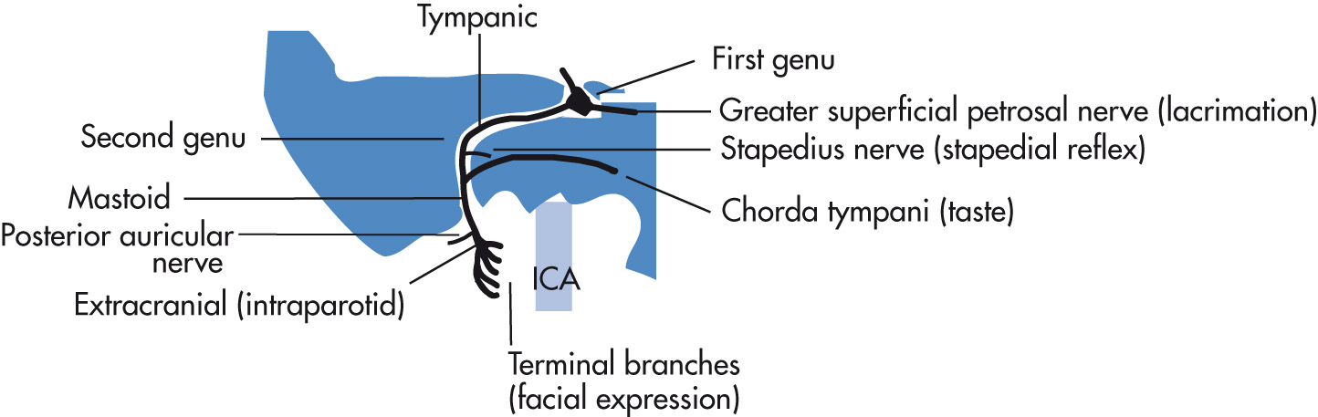 FIG. 7.6