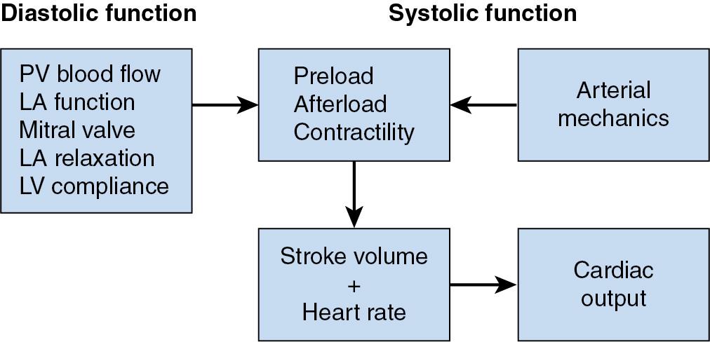 Fig. 10.1, Diastolic versus systolic dysfunction. This illustration depicts the major factors that determine left ventricular (LV) diastolic (left) and systolic (right) function. Note that pulmonary venous (PV) blood flow, left atrial (LA) function, mitral valve integrity, LA relaxation, and LV compliance combine to determine LV preload.