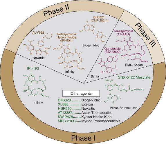 Figure 56-2, Hsp90 inhibitors in clinical development.