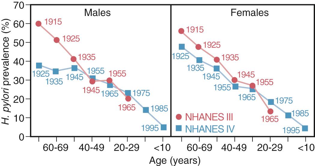 FIG. 217.1, Age-specific prevalence of Helicobacter pylori positivity among men and women in the National Health and Nutrition Examination Survey (NHANES) III, phase I (1988–1991; red circles ) and NHANES IV, phase I (1999–2000; blue squares ), by age and year of birth.