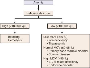 Fig. 16.1, An approach to the patient with anemia, based on reticulocyte count at presentation. MCV, Mean corpuscular volume.