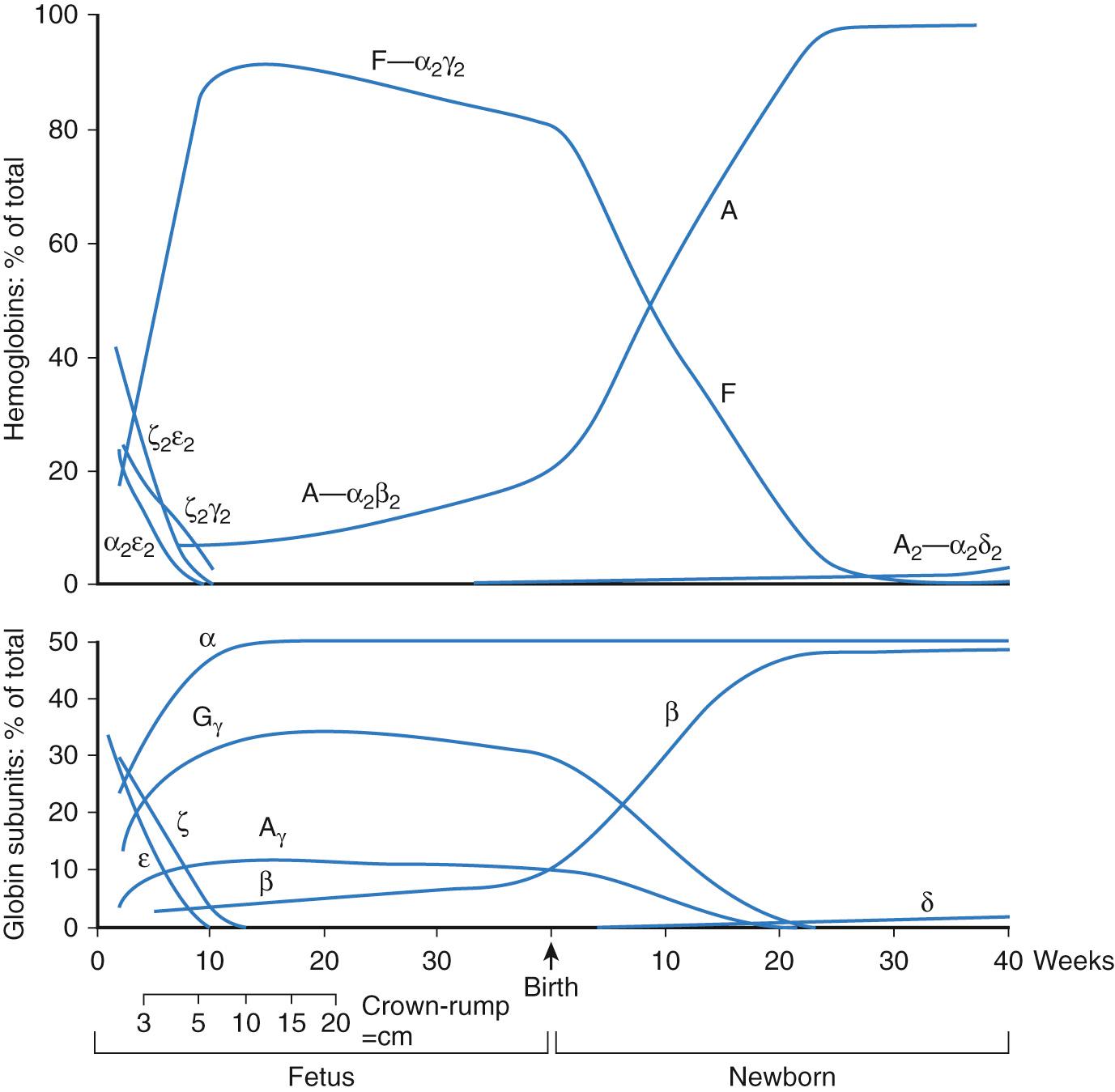 Fig. 79.2, Changes in expression of hemoglobin tetramers ( upper panel ) and individual globin chains ( lower panel ) during development.