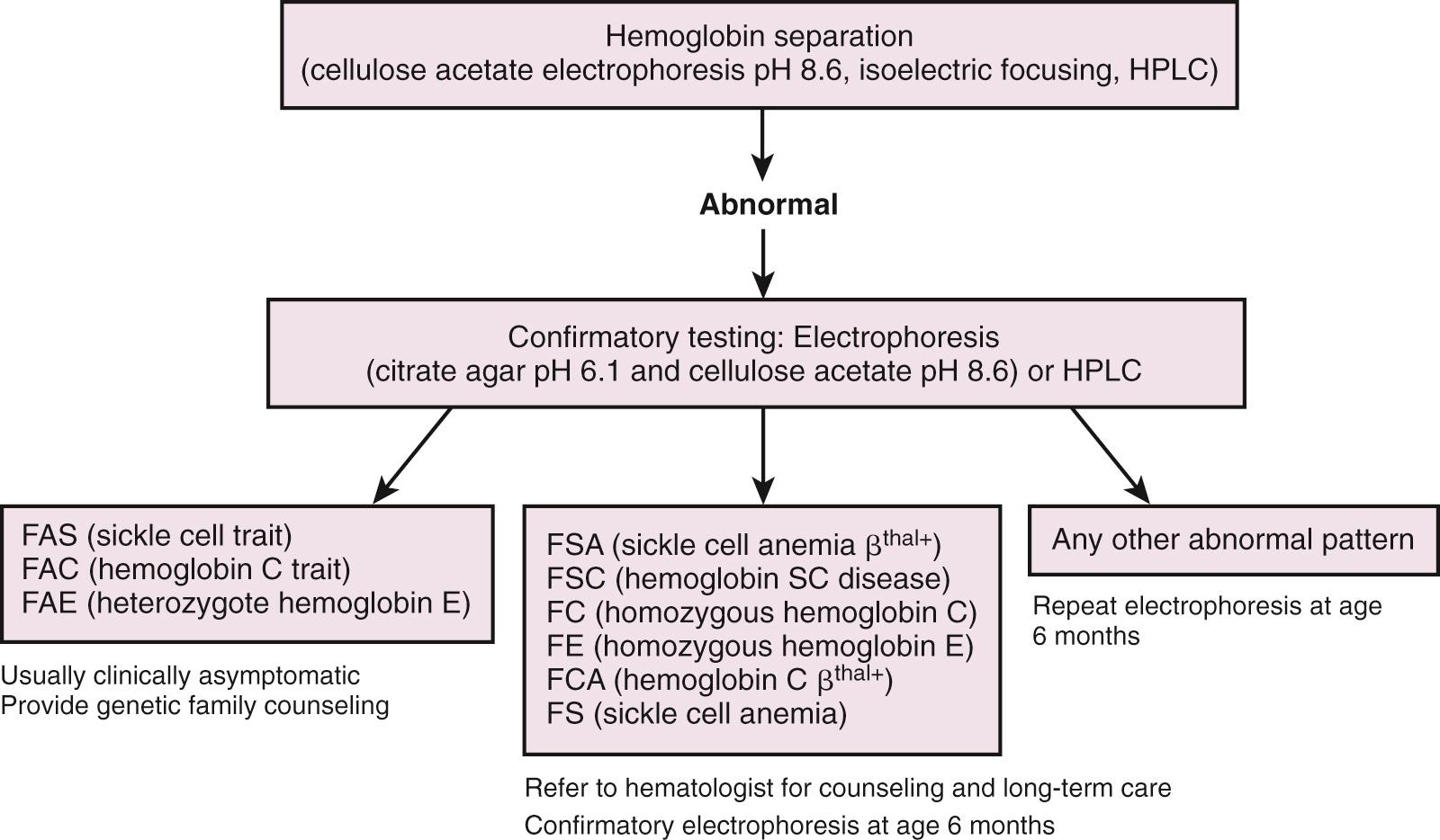 Fig. 79.8, Algorithm for investigating abnormal results on hemoglobinopathy screening tests in newborns. FAC, FAE, FAS, FC, FCA, FE, FS, FSA, FSC are all sickle-cell traits; HPLC, high-performance liquid chromatography.