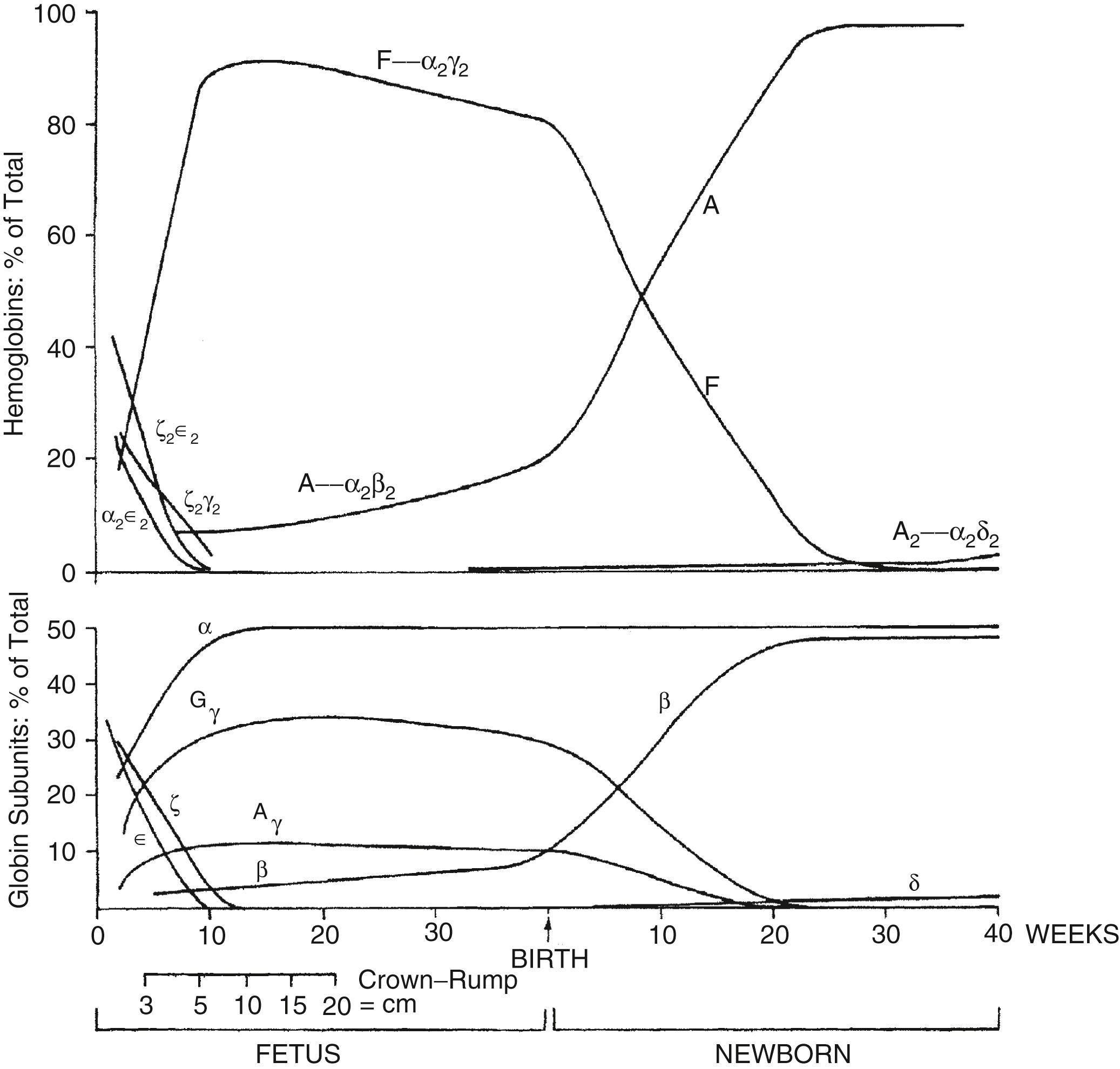 Figure 12-4, Changes in hemoglobin tetramers (top) and in globin subunits (bottom) during human development from embryo to early infancy.