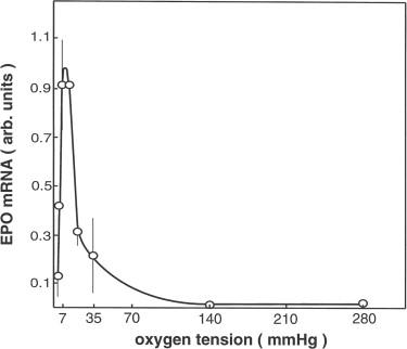 Figure 92.7, Oxygen dependency of erythropoietin mRNA in primary cultured rat hepatocytes. Freshly isolated rat hepatocytes were plated on gas permeable culture supports and were exposed to different oxygen concentration in a normobaric atmosphere for 3 hours as described in Eckardt et al. 104 Erythropoietin mRNA levels were standardized to β-actin mRNA levels and are given as arbitrary units.