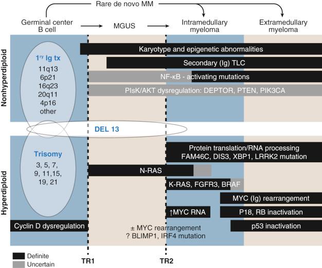 FIGURE 12-18, Model for molecular pathogenesis of monoclonal gammopathy of undetermined significance and plasma cell myeloma.