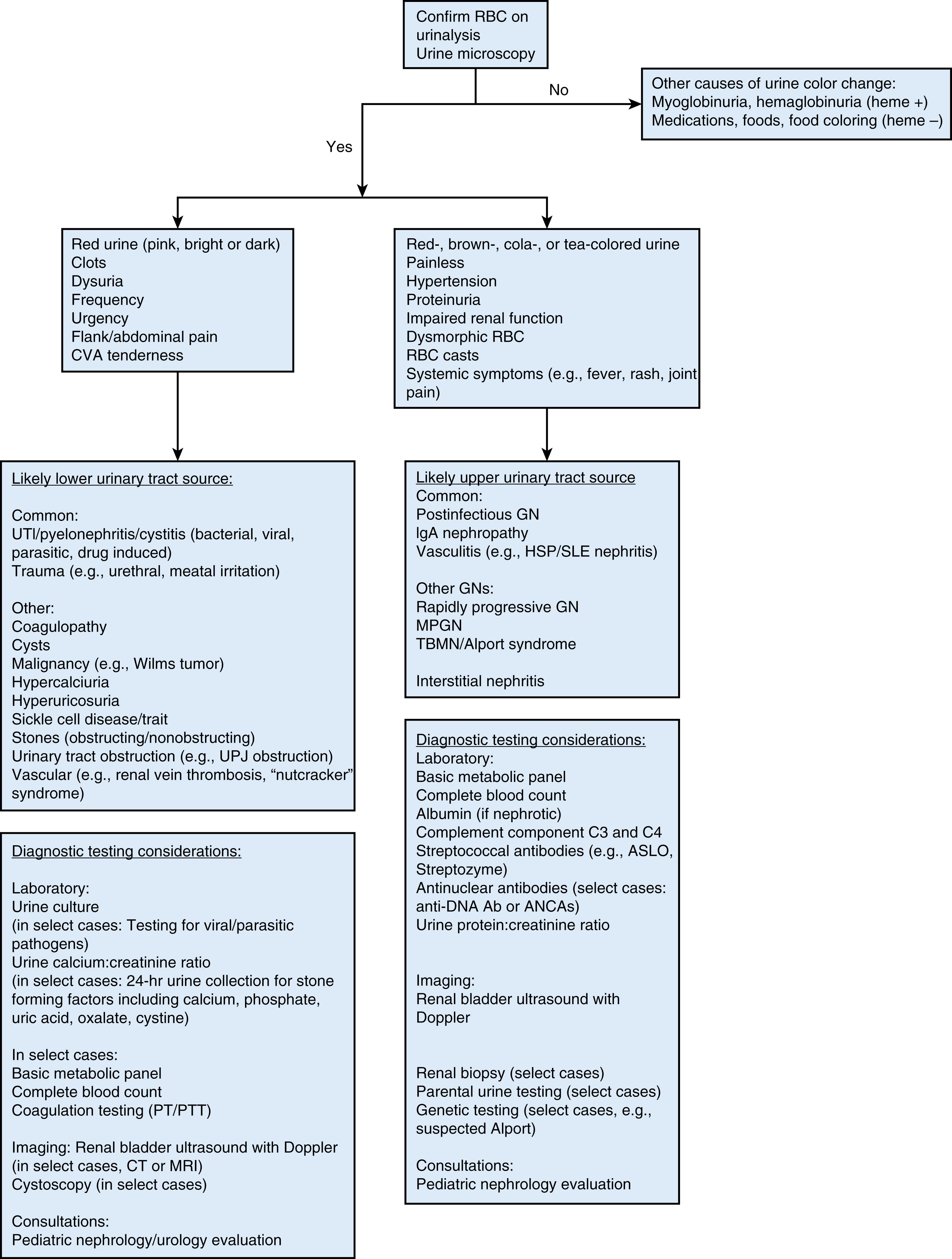 Fig. 23.1, Gross hematuria work-up. Abs, antibodies; ANCAs, antineutrophil cytoplasmic antibodies; CVA, cerebrovascular accident; GN, glomerulonephritis; HSP/SLE, Henoch-Schönlein purpura/systemic lupus erythematosus; IgA, immunoglobulin A; MPGN, membranoproliferative glomerulonephritis; PT/PTT, prothrombin time/partial thromboplastin time; RBC, red blood cell; TBMN, thin basement membrane disease; UPJ, ureteropelvic junction; UTI, urinary tract infection.