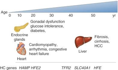 Fig. 60-5, The phenotypic continuum of hemochromatosis.