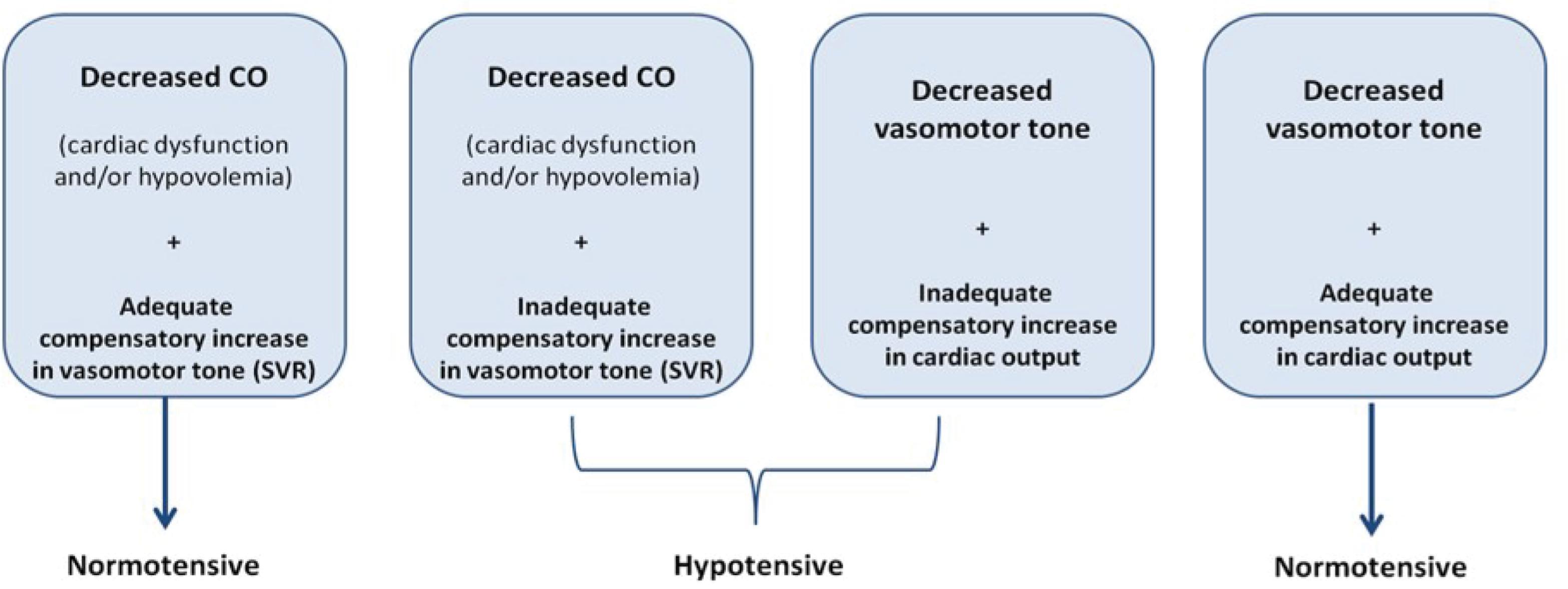 Fig. 41.2, Pathophysiology of Neonatal Cardiovascular Compromise in Primary Myocardial Dysfunction and Primary Abnormal Vascular Tone Regulation With or Without Compensation by the Unaffected Other Variable.