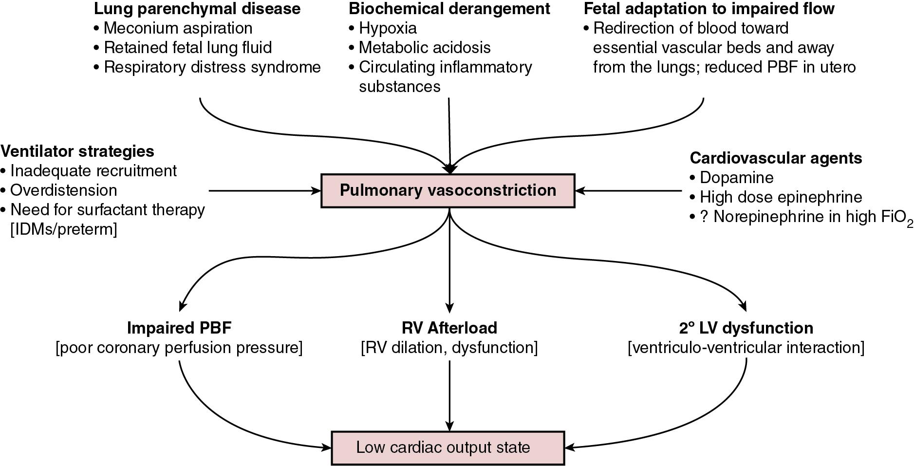 Fig. 22.2, Biological and therapeutic contributors to pulmonary vasoconstriction and their downstream consequences.