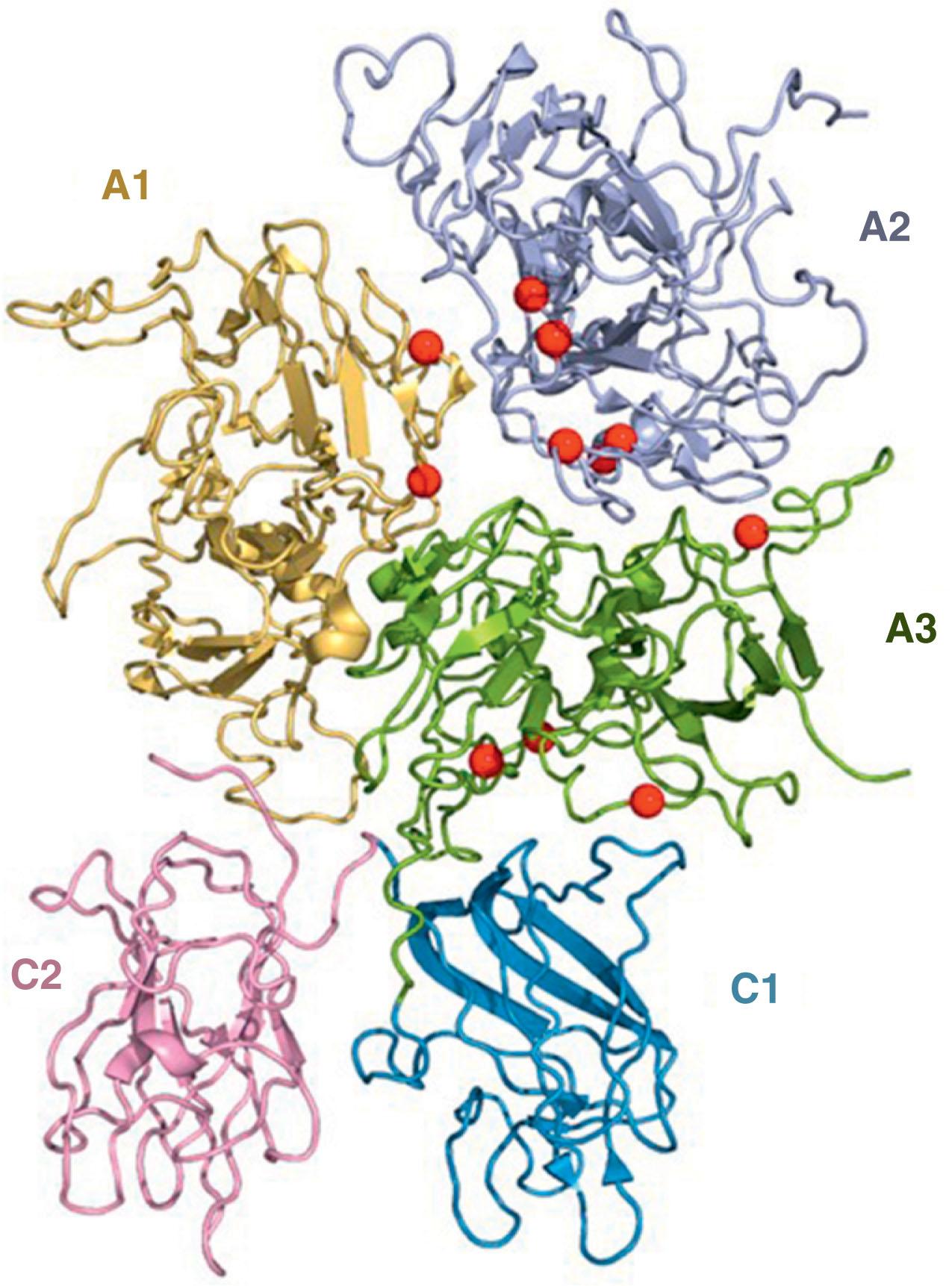 Figure 134.7, RIBBON REPRESENTATION OF THE STRUCTURE OF B-DOMAIN DELETED FACTOR VIII (FVIII).