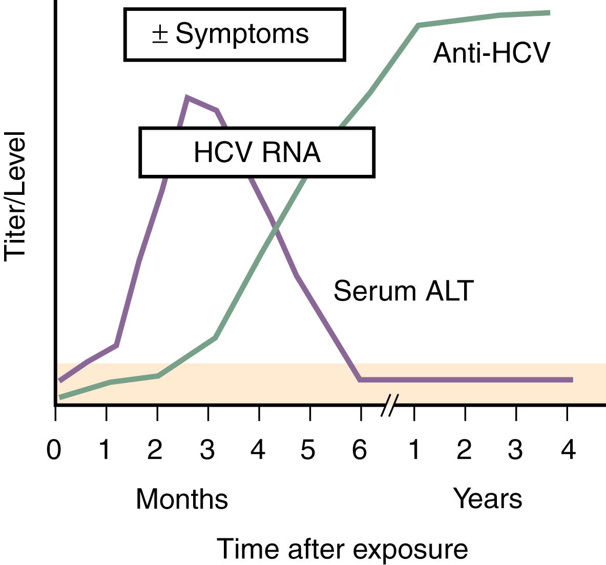 Fig. 80.3, Typical course of acute HCV infection followed by recovery. Symptoms may or may not be present during acute infection. Anti - HCV , antibody to HCV.