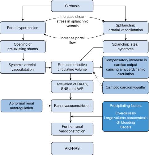 Figure 8.1., Pathophysiology of hepatorenal syndrome. AKI , Acute kidney injury; AVP , arginine vasopressin; GI , gastrointestinal; HRS , hepatorenal syndrome; RAAS , renin angiotensin aldosterone system; SNS , sympathetic nervous system.