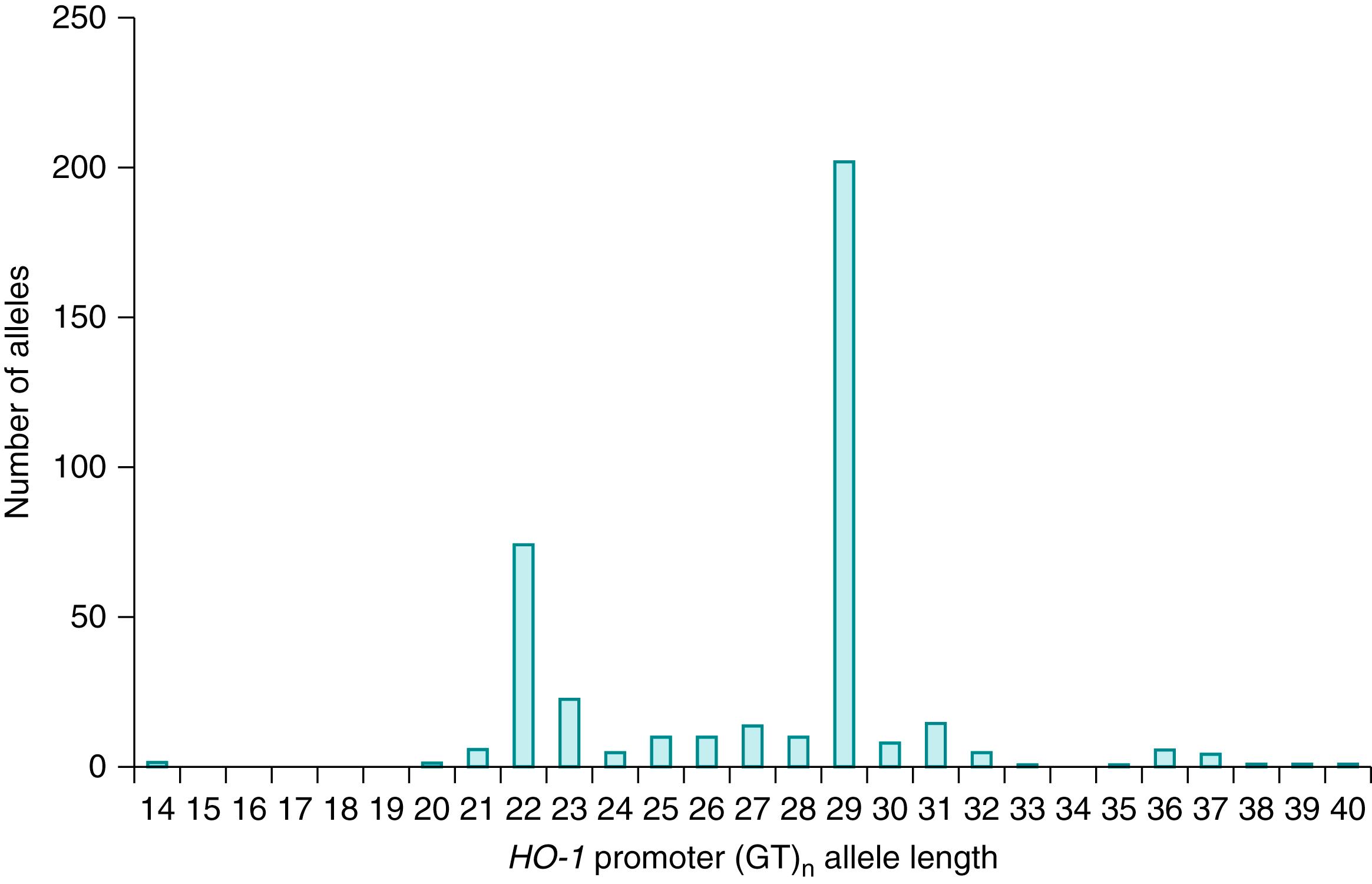 Fig. 91.3, Distribution of HO-1 promoter (GT) n repeats according to allele length of 199 newborns. Note the bimodal distribution similar to other population groups (see text).