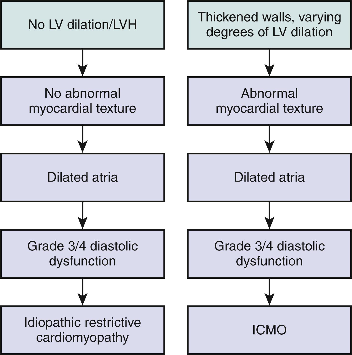 Figure 71.1, Echocardiographic features of idiopathic restrictive cardiomyopathy versus infiltrative cardiomyopathy (ICMO). LV , Left ventricular; LVH , left ventricular hypertrophy.