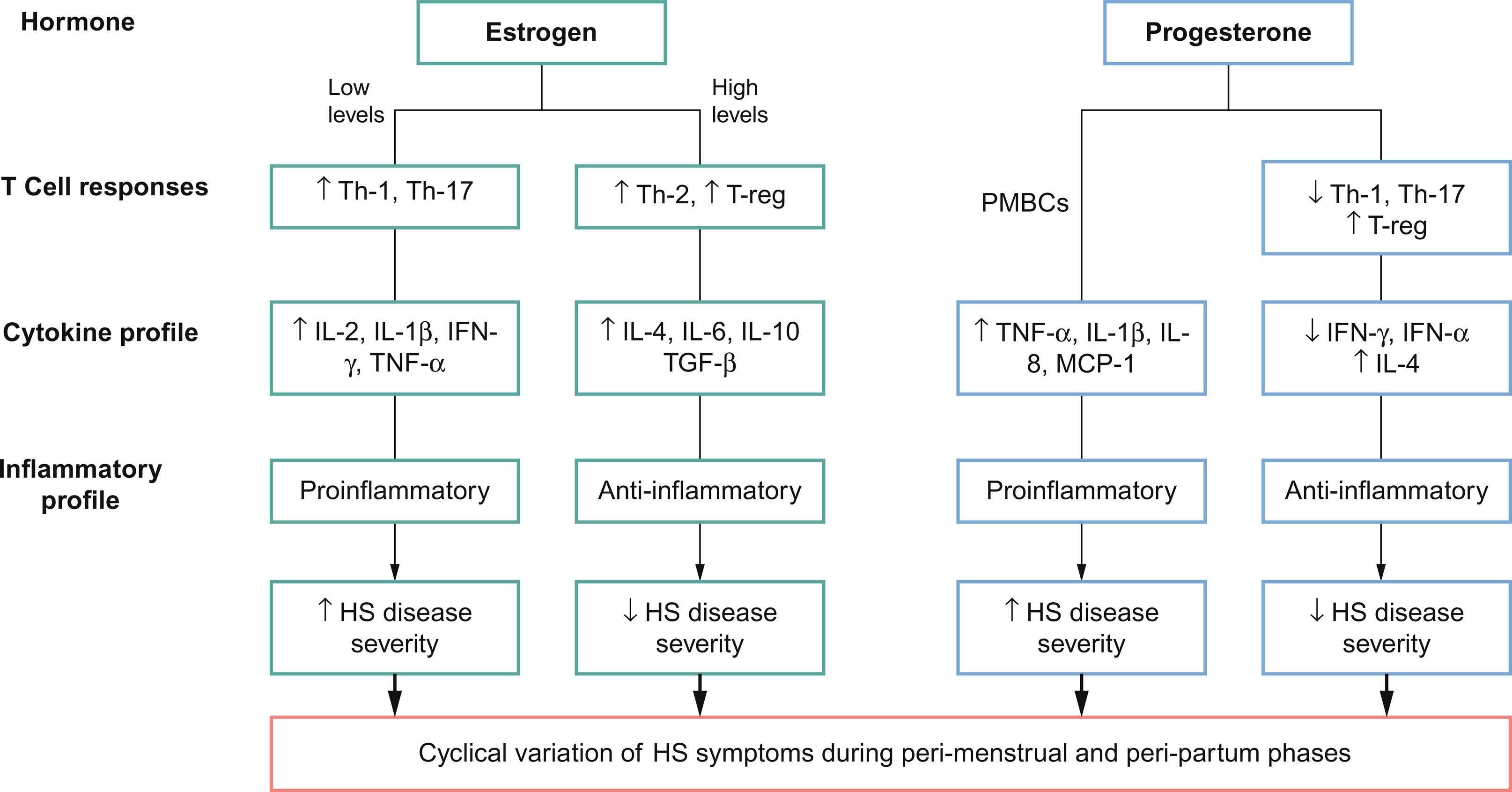 Fig. 31.2, Theoretical impact of how estrogen and progesterone may influence hidradenitis suppurativa disease course.