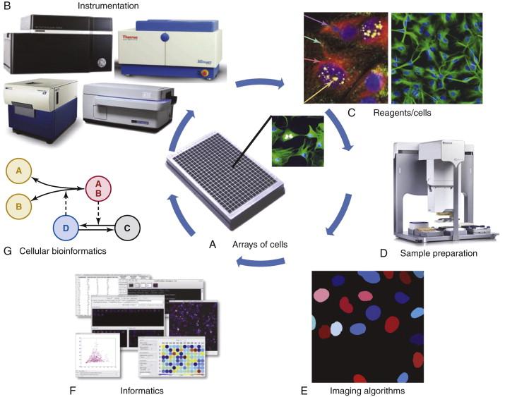 Figure 25-2, The components of high-content analysis (HCA)