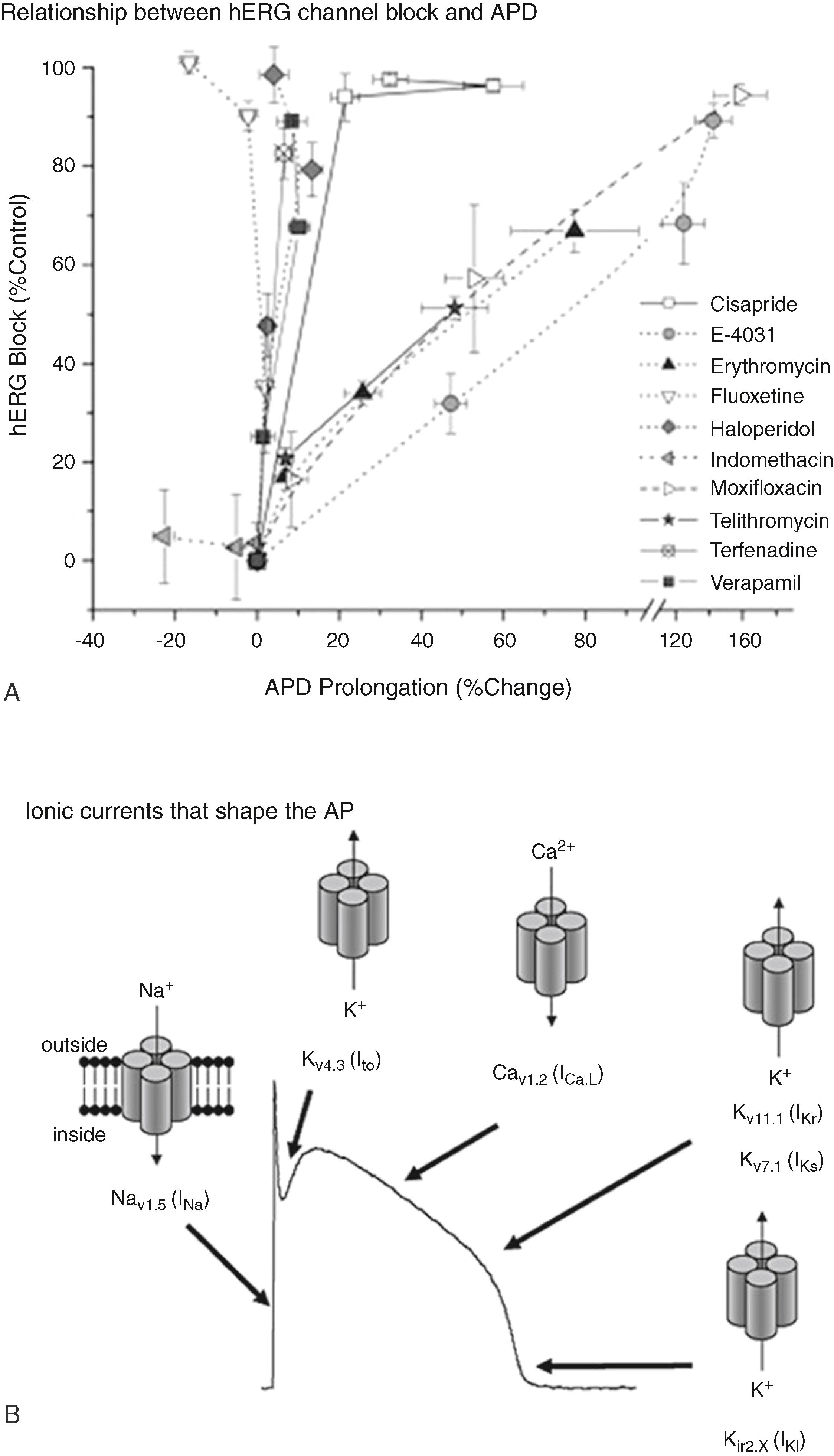 Fig. 57.2, hERG channel block does not always cause action potential duration (APD) prolongation.