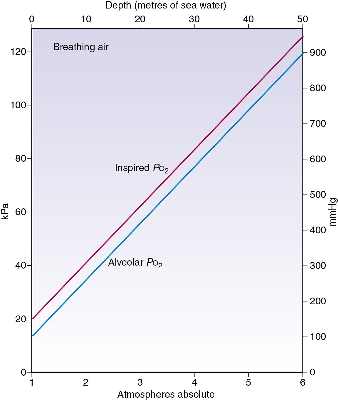 • Fig. 17.1, Inspired and alveolar P o 2 values as a function of increasing pressure while breathing air at rest.