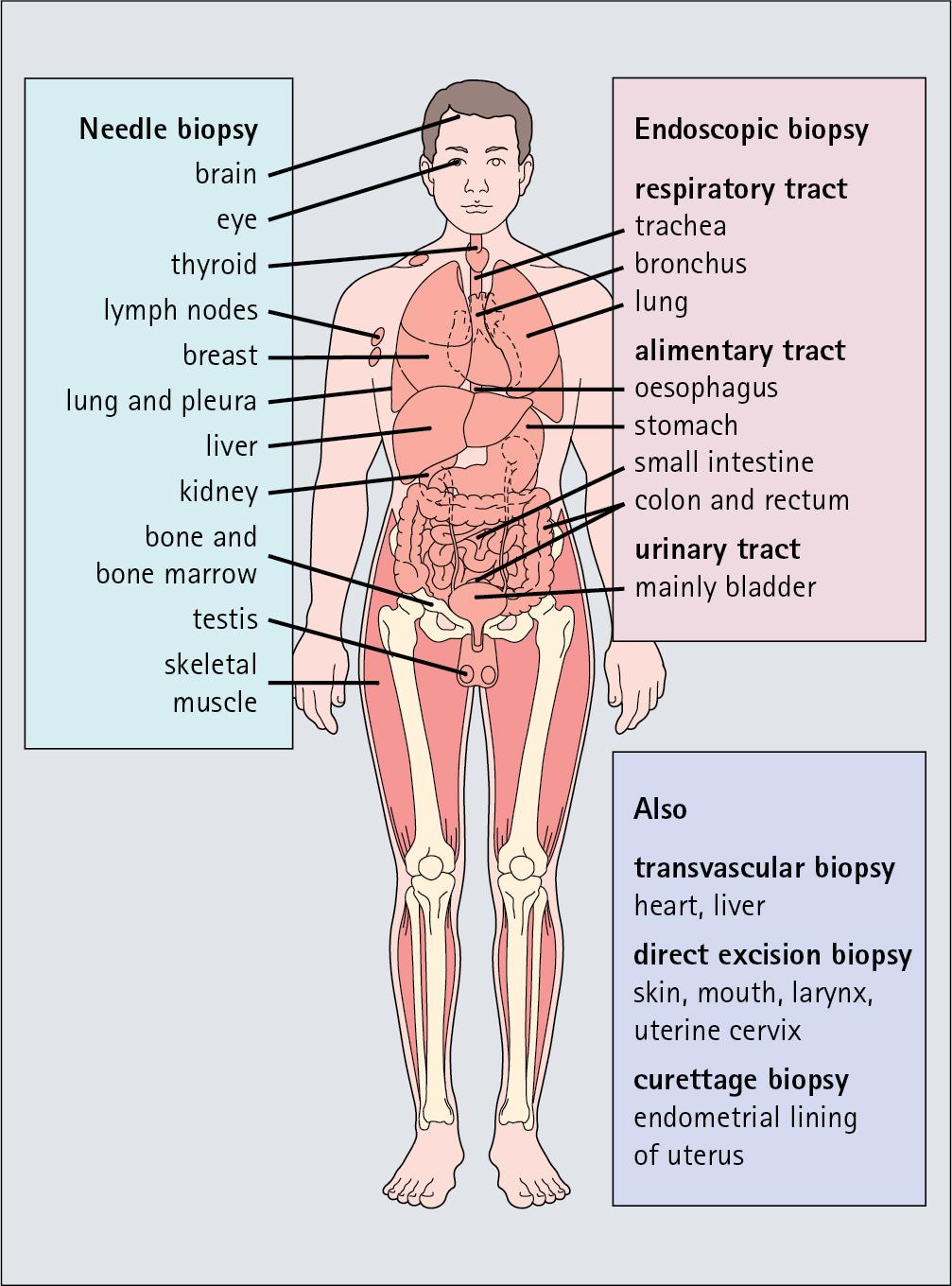 Fig. 1.1, Histology in Clinical Diagnosis.