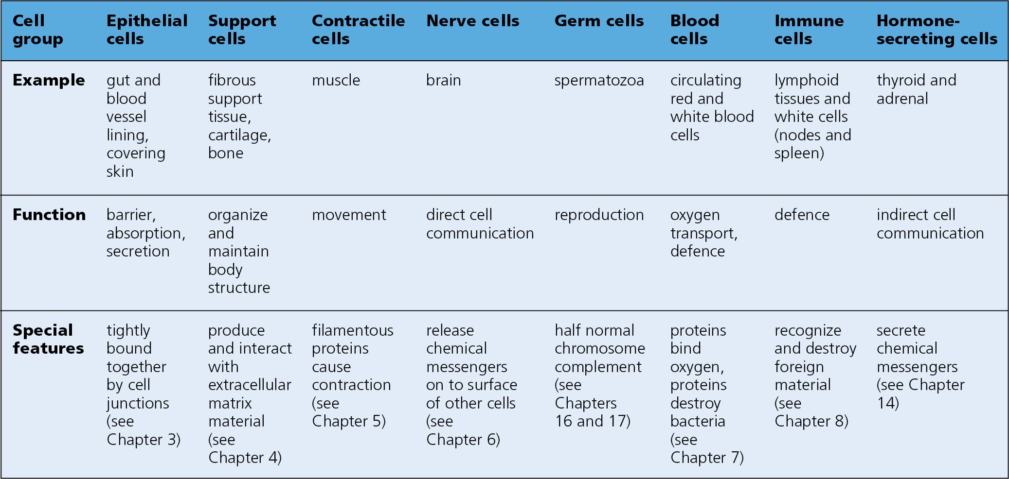 Fig. 1.3, Functional Cell Classification.