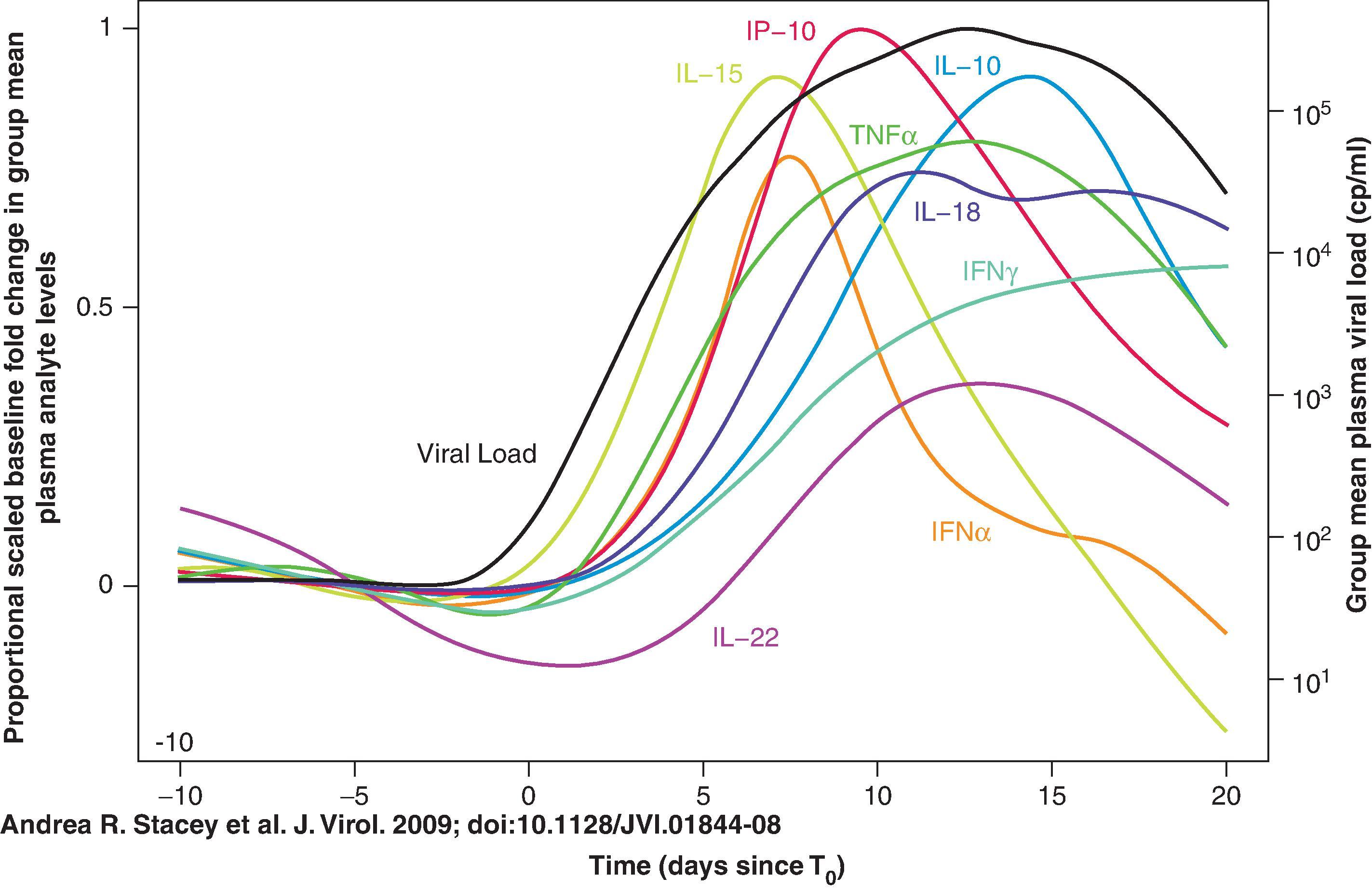 Fig. 31.8, The cytokine storm in acute HIV-1 infection. The relative kinetics of elevation of acute-phase proteins, cytokines, and chemokines in the plasma during acute HIV-1 infection. There are two initial waves of cytokines: interleukin-15 (IL-15) and interferon-α (IFNα), followed by tumor necrosis factor (TNF), IL-18, and IL-10. CXCL10, CXC-chemokine ligand 10. (From Stacey AR, Norris PJ, Qin L, et al. Induction of a striking systemic cytokine cascade prior to peak viremia in acute human immunodeficiency virus type 1 infection, in contrast to more modest and delayed responses in acute hepatitis B and C virus infections. J Virol . 2009;83:3719-3733. doi:10.1128/JVI.01844-08.)