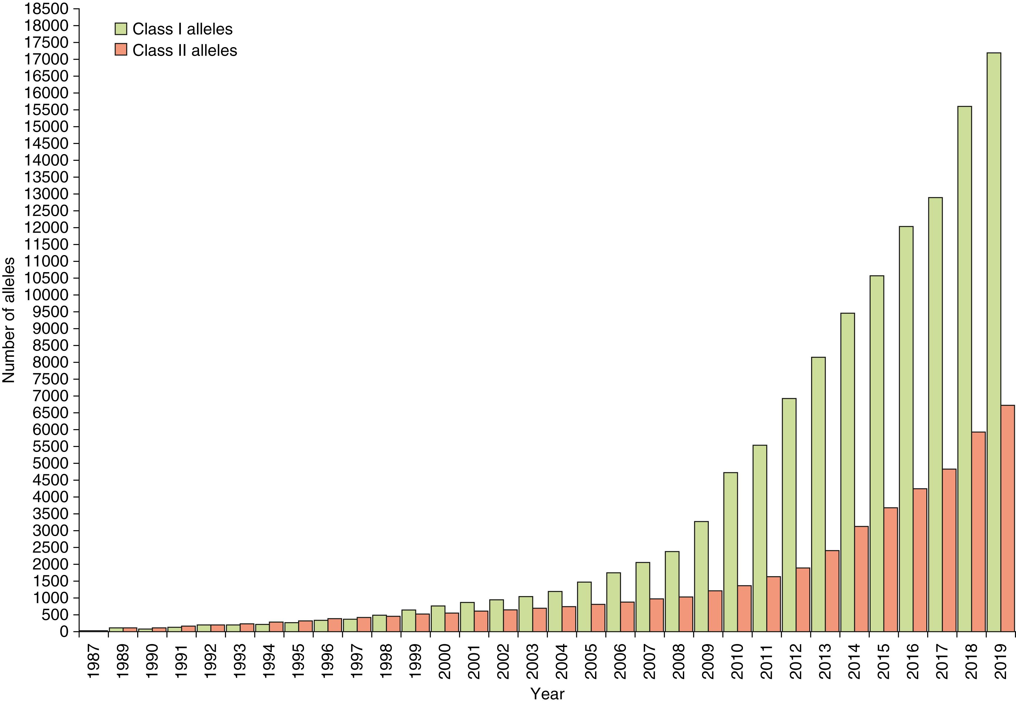 Fig. 50.3, Numbers of class I and class II alleles discovered from 1987 to 2019. The increase in the number of discovered alleles during this period was made possible by the introduction of DNA typing methods; class I alleles include HLA-A, -B, and -Cw; class II alleles include HLA-DRB1, -DQB1, -DQA1, -DPA1, and -DPB1.