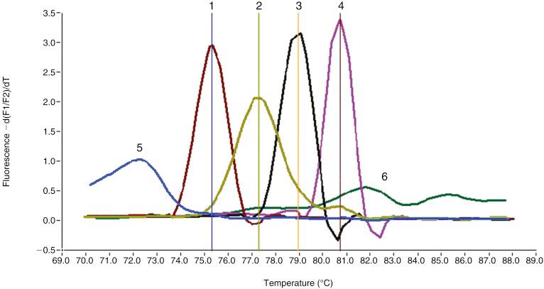 FIG. 14.2, Postamplification melt curve analysis. The four Plasmodium species that commonly cause human disease are differentiated using postamplification melt curve analysis. 1 = P. malariae, 2 = P. falciparum, 3 = P. ovale, 4 = P. vivax, 5 = Primer dimers, 6 = Human DNA (negative control).