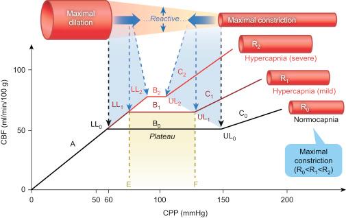 Figure 1, Effect of hypercapnia on cerebral autoregulation.