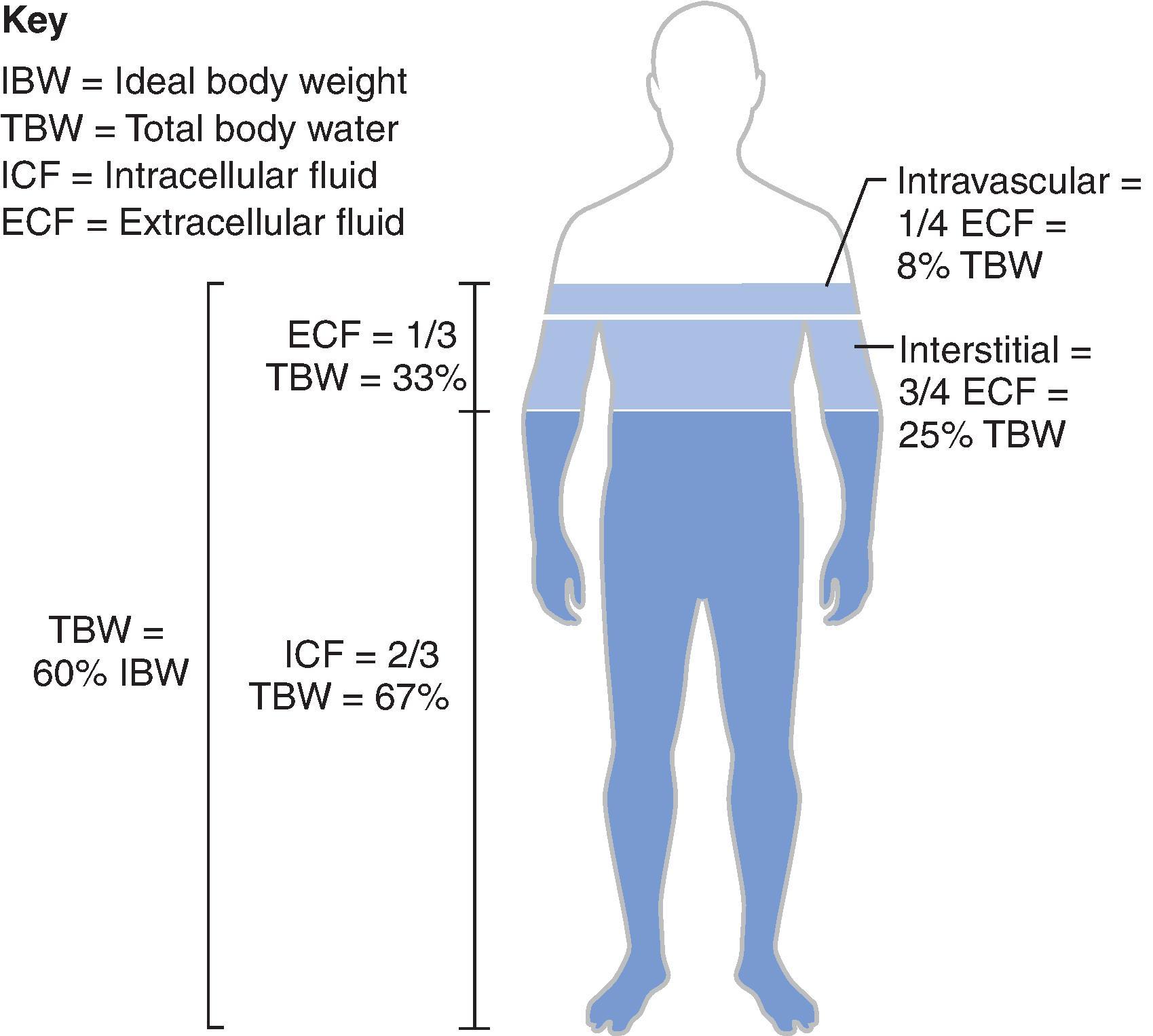 Fig. 8.2, Normal water distribution. Total body water (TBW) is 60% of a person’s ideal body weight. Of that, two-thirds (66%) is distributed to the intracellular space (ICF) and one-third (33%) to the extracellular space (ECF). Three-quarters of the extracellular space, approximately 25% of TBW, is interstitial, whereas one-quarter, approximately 8% of TBW, is intravascular.