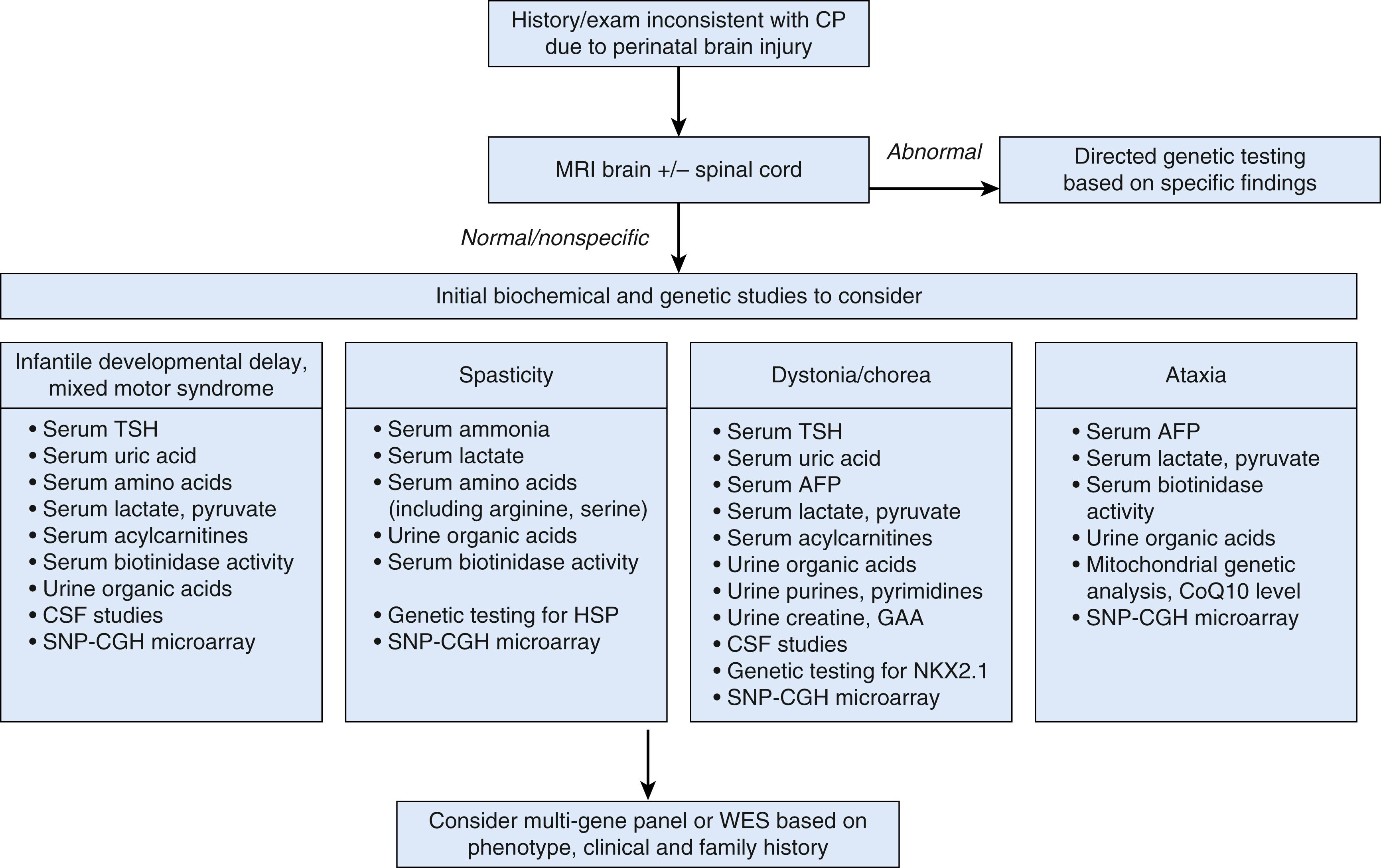 Fig. 38.2, General diagnostic approach to the patient with an infantile-onset, apparently nonprogressive motor disorder. Studies are grouped by predominant clinical presentation; it may be appropriate to consider investigations from more than one group depending on the specific clinical context. CSF studies: glucose (+serum glucose), lactate, pyruvate, neurotransmitter metabolites (biogenic amines + γ-aminobutyric acid [GABA]), pterins, 5-methyltetrahydrofolate. AFP, α-fetoprotein; CP, cerebral palsy; CGH, comparative genomic hybridization; CSF, cerebrospinal fluid; GAA, α-glucosidase; HSP, hereditary spastic paraplegia; SNP, single nucleotide protein; TSH, thyroid-stimulating hormone; WES, whole-exome sequencing.