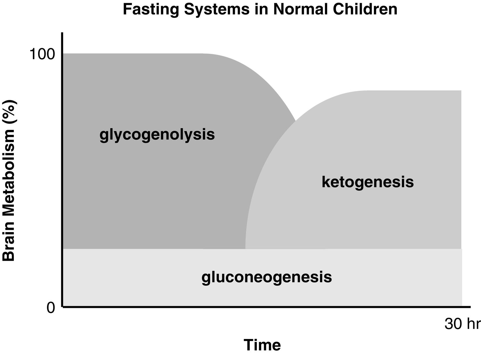 Fig. 7.2, Contribution of major fasting systems to brain metabolism over time in a typical normal infant. Note that glycogen stores are depleted by 8 to 12 hours and that ketogenesis becomes the major source of brain substrate by 24 hours.