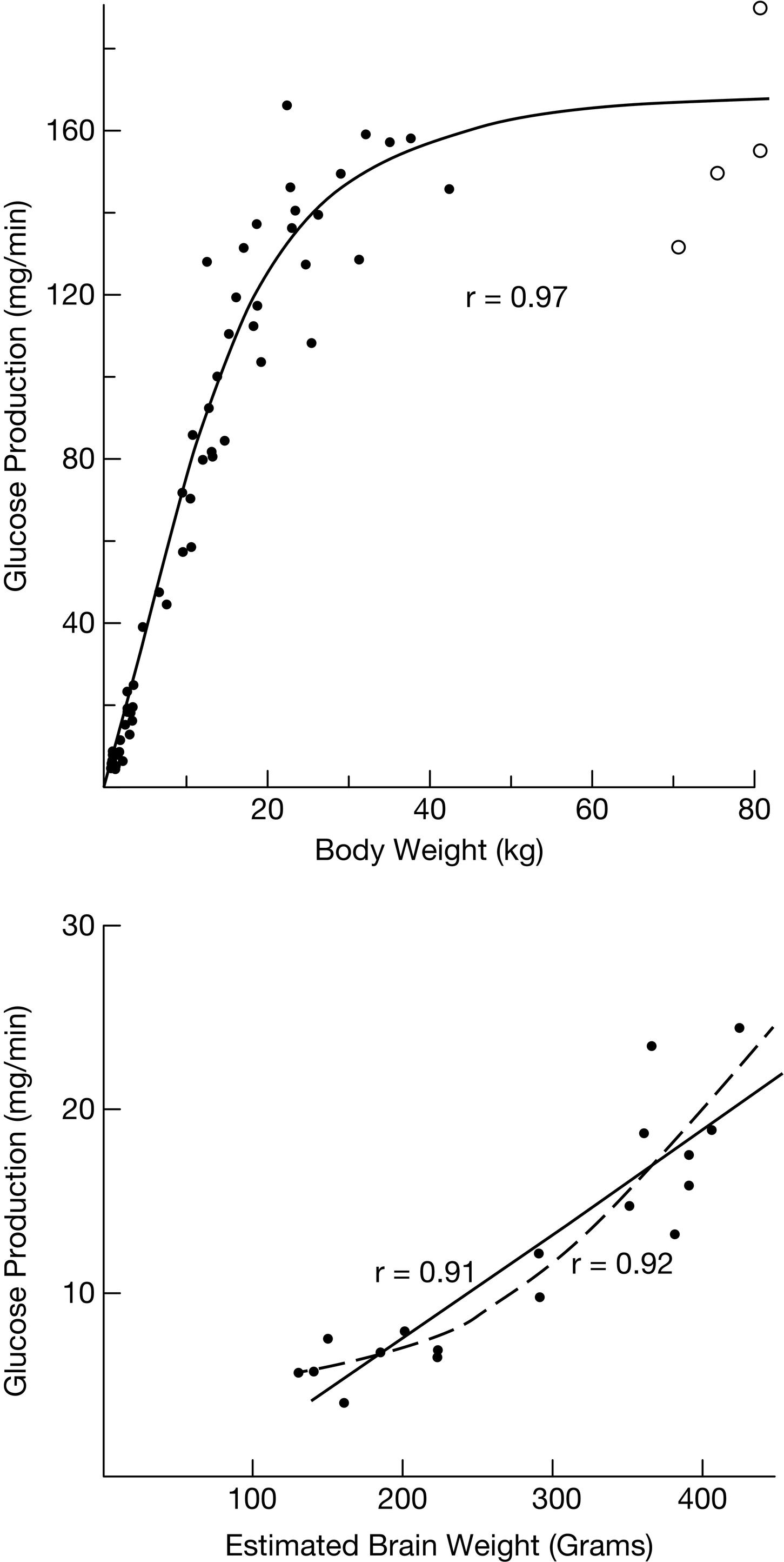 Fig. 23.1, Glucose production as a function of body weight ( top ) and estimated brain weight ( bottom ). Note the change in slope at approximately 30 to 40 kg of body weight, when brain growth is complete.