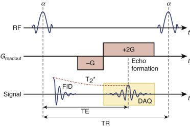 FIG 4-1, Basic components of a gradient recalled echo (GRE) pulse sequence diagram. A radiofrequency (RF) pulse with a flip angle α (<90 degrees) is applied to excite tissue within the volume/slice of interest (slice/volume select gradient not shown here for simplicity). A free induction decay (FID) follows as spins relax to their equilibrium state, but it is difficult to measure and typically not used for image generation. The negative lobe of the readout gradient (−G) purposefully dephases the spins in the imaging volume. Then the direction of the readout gradient is inverted, and when the gradient areas of the prewinder and rewinder are equal at the echo time t = TE, the spins are refocused and form an echo. The data acquisition window (DAQ) is centered around the echo time. Typically a single line of k-space is acquired for each excitation, and this process is repeated until all data are acquired.