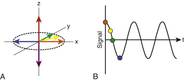 FIG 3-1, A, Magnetization depicted on a 3D axis. Before excitation the magnetization is aligned along the z-axis (red arrow). After a 90-degree RF pulse the magnetization is tipped into the x-y plane. Here it is shown as being aligned with the x-axis (orange arrow). Once in the x-y plane the magnetization begins to precess in the x-y plane, first moving between the x and y axes (yellow arrow) and then aligning with the y-axis (green arrow) and after a longer time pointing in the negative direction along the x-axis (blue arrow). The magnetization will eventually precess around to the x-axis again and continue to move around in the x-y plane. Note that the effect of a 180-degree pulse would be to completely invert the magnetization (purple arrow). B, The signal collected from a receiver coil along the x-direction. Immediately after the RF pulse, the signal along the x-direction is maximal, leading to a large signal (orange dot). As the magnetization precesses, the signal decreases (yellow dot) until it reaches a minimum when the magnetization points along the y-direction (green dot). The magnetization continues to precess, leading to a negative signal when it is pointed in the negative x-direction (blue dot). Continued precession leads to the sinusoidal signal shape over time.