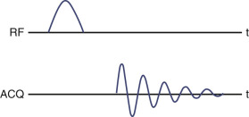 FIG 3-3, A basic NMR pulse sequence. Both lines describe the timing of events in the pulse sequence. The top line shows the RF pulse. The bottom line shows when signal is collected (ACQ). Note that the signal shape is an exponentially decaying sinusoid owing to relaxation.