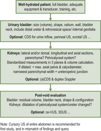 Fig. 72.2, Ultrasound of the Urinary Tract.