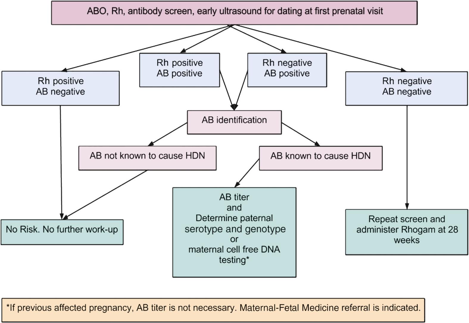 Fig. 23.1, Initial management of blood type and screen. AB, antibody; HDN, hemolytic disease of the newborn.